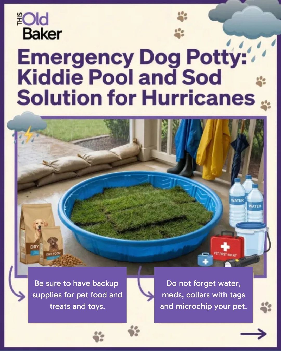 Emergency Dog Potty: Kiddie Pool and Sod Solution for Hurricanes 5 Emergency Dog Potty: Kiddie Pool and Sod Solution for Hurricanes